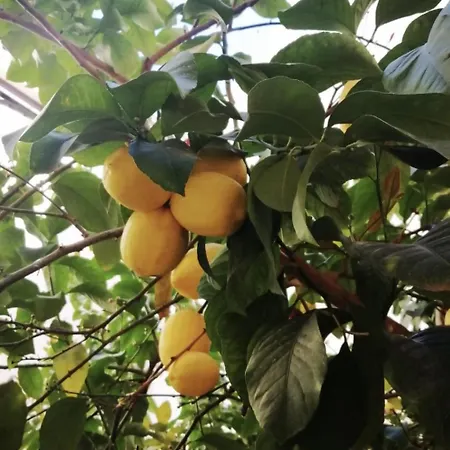 Apartamento El Limonar De La Ribera Parking Incluido